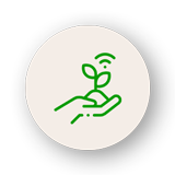 Aussaat | Weilerswist-Schwarzmaar | Euskirchen Aussaat | Weilerswist-Schwarzmaar | Euskirchen